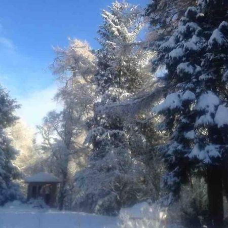 The Beeches Studio, Highlands Of Scotland Newtonmore Luaran gambar