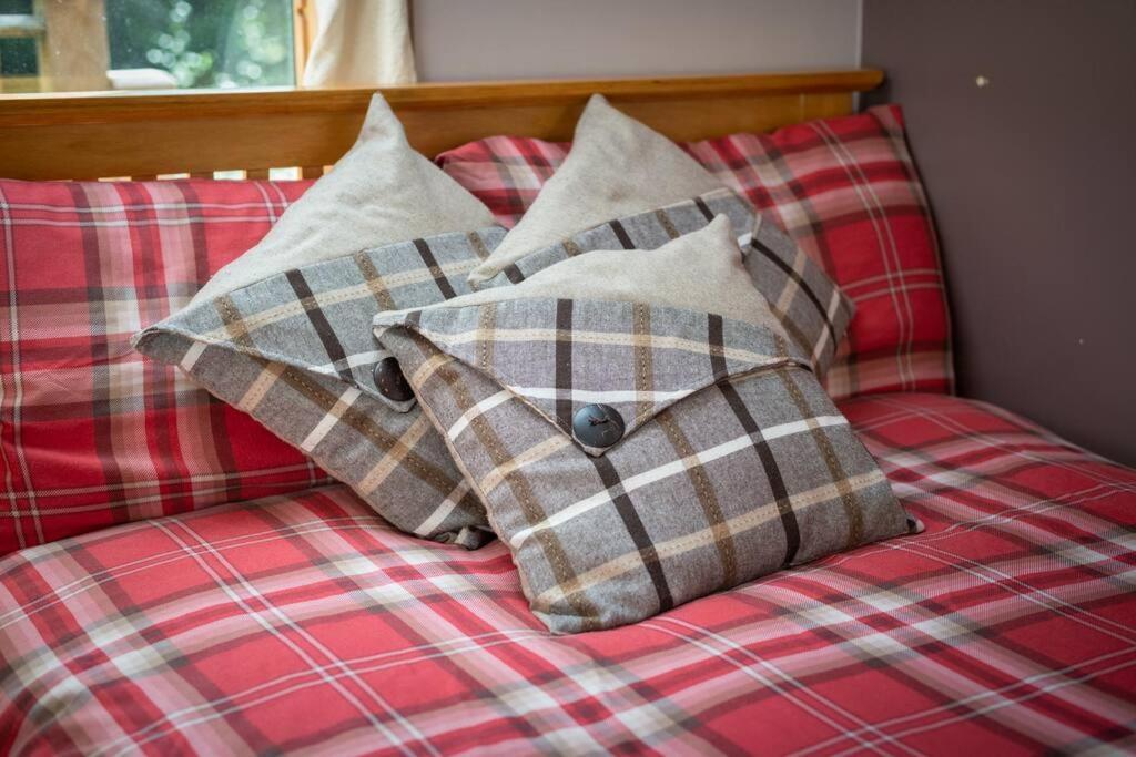 The Beeches Studio, Highlands Of Scotland Newtonmore Luaran gambar