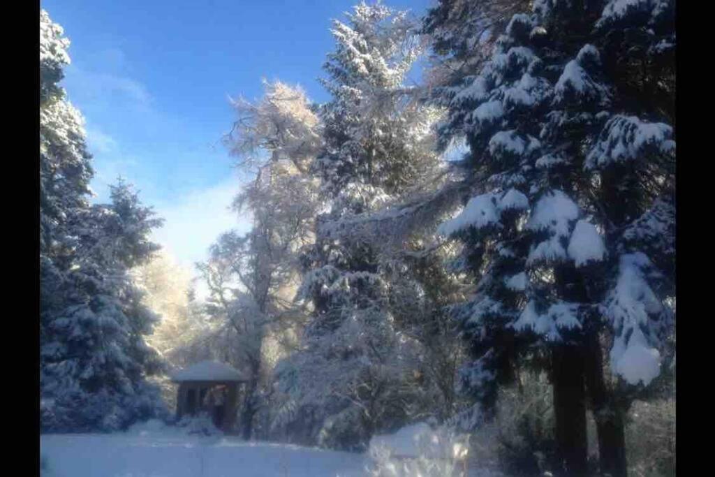 The Beeches Studio, Highlands Of Scotland Newtonmore Luaran gambar